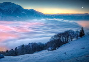 樱花码支付：社区团购团长的 “收团费神器”，不用等转账、不担心漏收