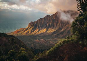 从支付工具到经营伙伴：樱花支付系统如何助力商户降本增效